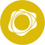 PAXG logo